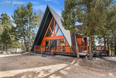 66 Blue Mesa Dr, Divide, CO 80814 - photo 2