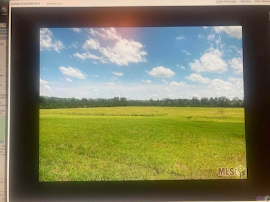 Lot # 17 Feliciana Dr, Clinton, LA 70722 - photo 3