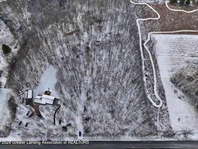 0 S Royston Rd unit 285357, Eaton Rapids, MI 48827 - photo 3