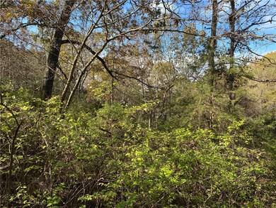 760-19585-000 Sandot Dr, Bull Shoals, AR 72619 - photo 4