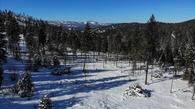 1050 Spring Hill Rd, Kila, MT 59920 - photo 4