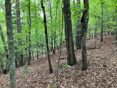 Lt 41 Floris Mountain Rd, Murphy, NC 28906 - photo 6