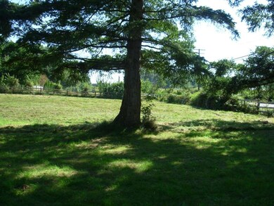 8486 Blaine Rd, Blaine, WA 98230 - photo 7