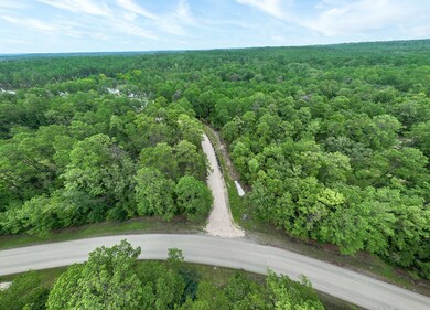 35440-35442 Wembley Dr, Sam Rayburn, TX 75931 - photo 7