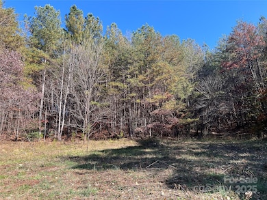 740 N Fork Rd, Bostic, NC 28018 - photo 7