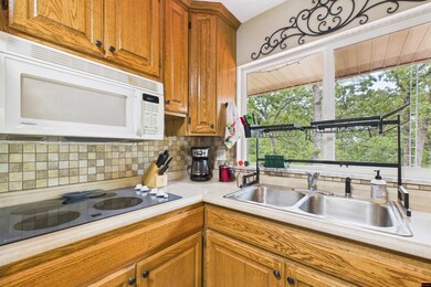 1095 Hickory Flats Ln, Lakeview, AR 72642 - photo 4