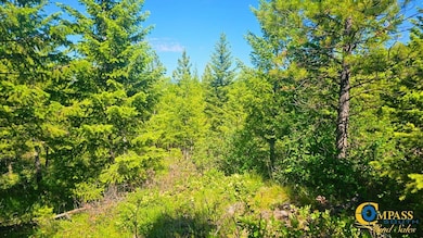 Fwp Region 1 unit Hunting District 122, Plains, MT 59859 - photo 4