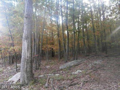 0 Roberts Ln unit 1003733060, Great Cacapon, WV 25422 - photo 5