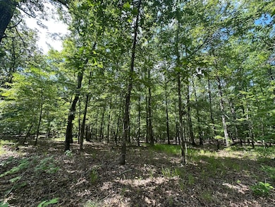 Lot 11 S Pointe Ct, Tignall, GA 30668 - photo 5