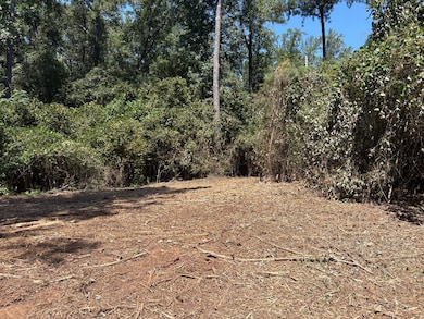 0 Old Rumble Rd, Forsyth, GA 31029 - photo 6