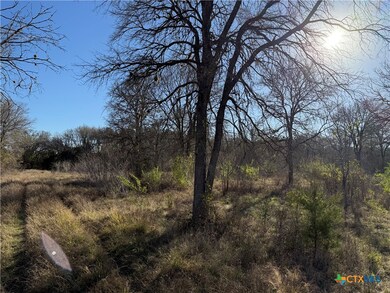 0 Country Club Dr unit 571804, Seguin, TX 78155 - photo 6