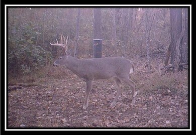 image006
