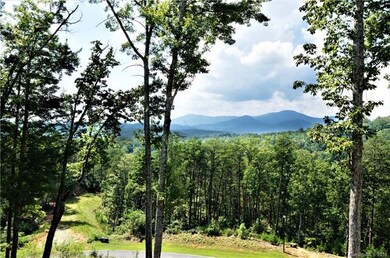 Views into the Hickory Nut gorge