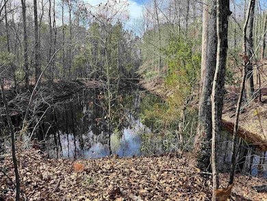 tbd Copeland Moody Rd, Marion, SC 29571 - photo 2