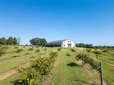 207 Wolf Creek Dr, Americus, GA 31719 - photo 5