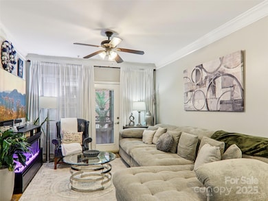 617 Appeldoorn Cir unit 617, Asheville, NC 28803 - photo 6