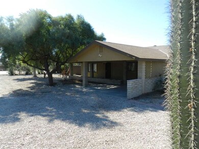Frontyard 1