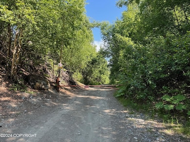 B005 Private Rd, Willow, AK 99688 - photo 4