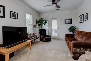 331 Appeldoorn Cir unit 331, Asheville, NC 28803 - photo 6
