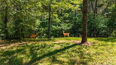 8701 E Splinter Ridge Rd, Madison, IN 47250 - photo 2