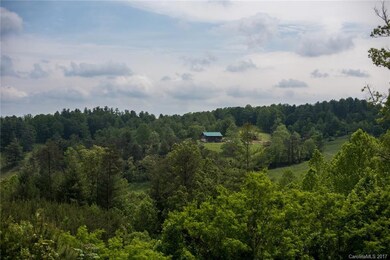 5 Haden Dr, Leicester, NC 28748 - photo 5