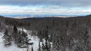 1433 Stannard Mountain Rd, Lyndonville, VT 05851 - photo 4