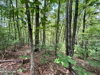 0 E Loomis Rd, Jamestown, TN 38556 - photo 7