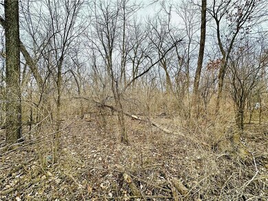 0.22 acres Sunfish Dr, Trempealeau, WI 54661 - photo 4