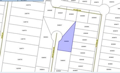 1010 Hawk St, Alamo, TX 78516 - photo 5