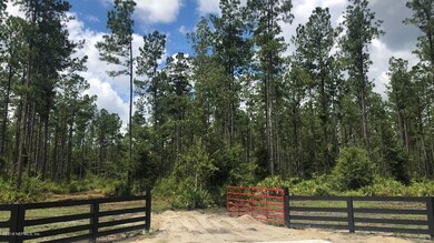 LOT 4 Griffin Rd - Heartwood Farms, Callahan, FL 32011 - photo 6