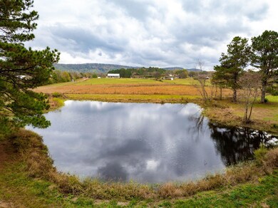 15-web-or-mls-DJI_20241106114427_0164_D-