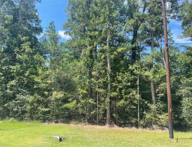 Lot 19 Clear Creek Forest 11, Magnolia, TX 77355 - photo 3