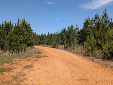 Hwy Alabama 265, Camden, AL 36726 - photo 4