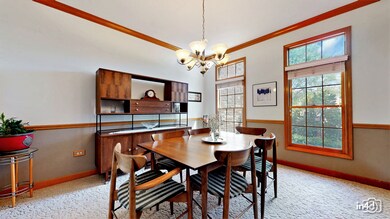 4503 Pipestone Ct, Naperville, IL 60564 - photo 7