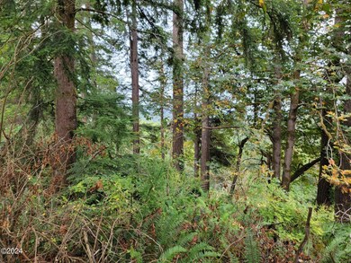 woods