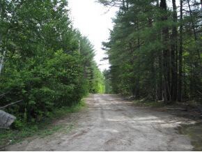 LOT 49 Forest View Dr, Effingham, NH 03882 - photo 6