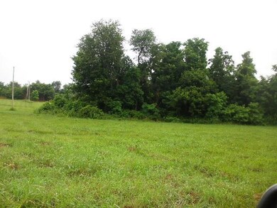 0 Choctaw Ln, Westville, OK 74965 - photo 4