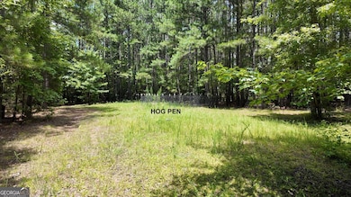 0 Lexington Hwy unit 10565392, Elberton, GA 30635 - photo 3