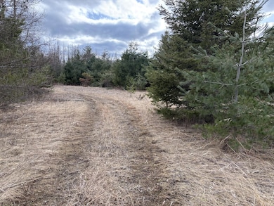 cathro property7