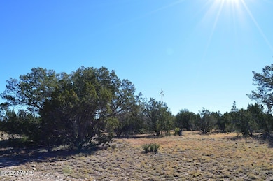 13887 Bly Station Rd A, Williams, AZ 86046 - photo 5