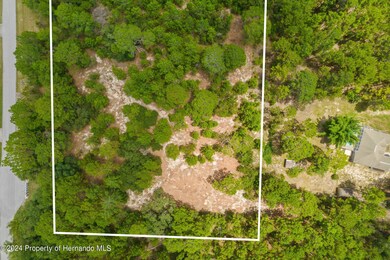 39-web-or-mls-DJI_0149lines