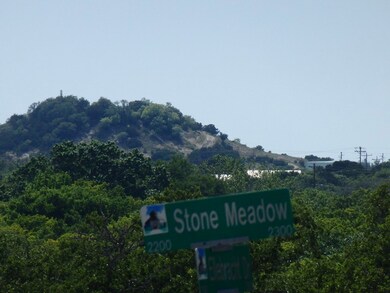 2301 Stone Meadow unit 287, Fredericksburg, TX 78624 - photo 6