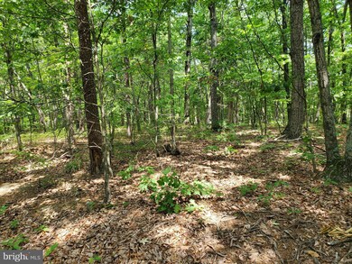 0 Vacation Way unit WVBE2021136, Hedgesville, WV 25427 - photo 4