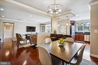 4191 S Four Mile Run Dr unit 202, Arlington, VA 22204 - photo 6