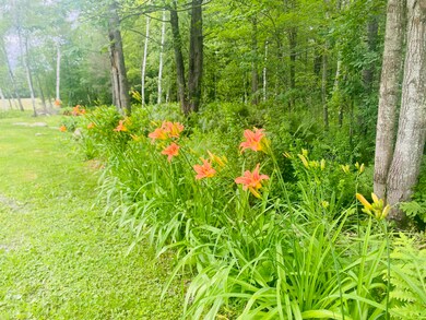Flower beds through out the property