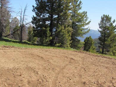 Titanus Quartz Hill Rd, Wise River, MT 59762 - photo 7