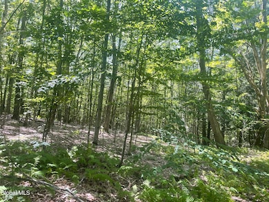 L4.15 New York 22, Berlin, NY 12022 - photo 3