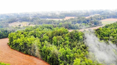 1896 & 0 Clark Rd, Lillington, NC 27546 - photo 4