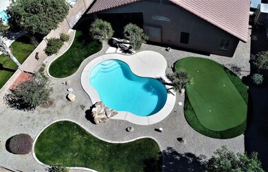 Gorgeous Back Yard