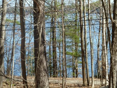 0 Muddy River Ln, Bowdoinham, ME 04008 - photo 6